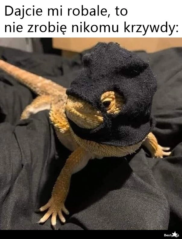 
    Możemy się dogadać 