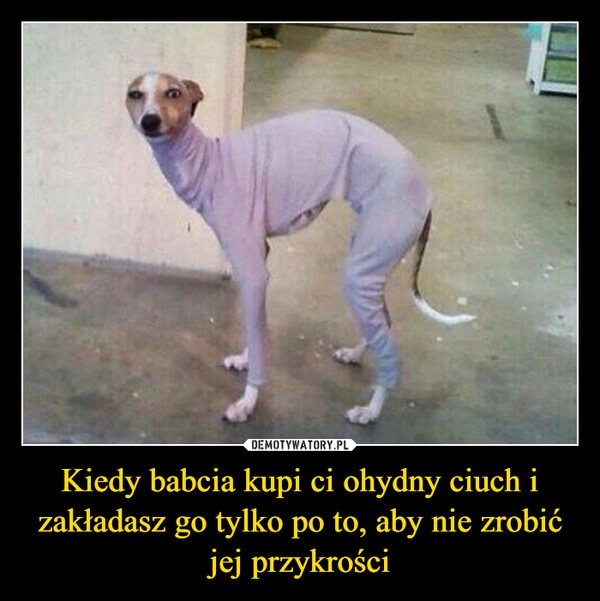 
    Kiedy babcia kupi ci ohydny ciuch i zakładasz go tylko po to, aby nie zrobić jej przykrości