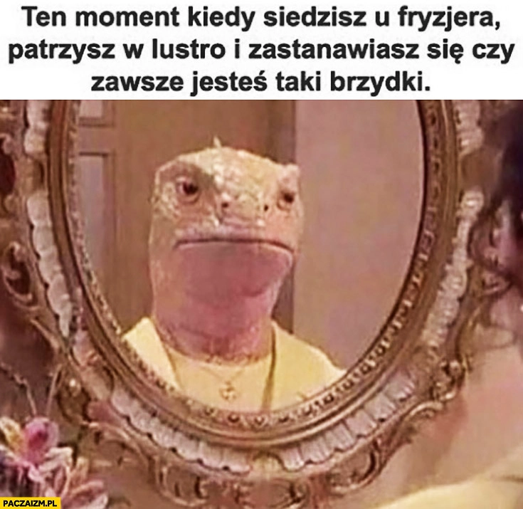Ten moment kiedy siedzisz u fryzjera patrzysz w lustro i zastanawiasz się czy zawsze jesteś taki brzydki jaszczurka