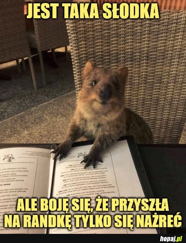 
    Taka słodka.