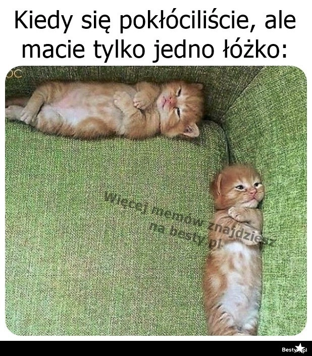 
    Razem, ale osobno 