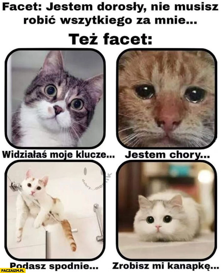 
    Kot koty facet jestem dorosły nie musisz robić wszystkiego za mnie, też facet: widziałaś moje klucze, jestem chory, podasz spodnie, zrobisz kanapkę?