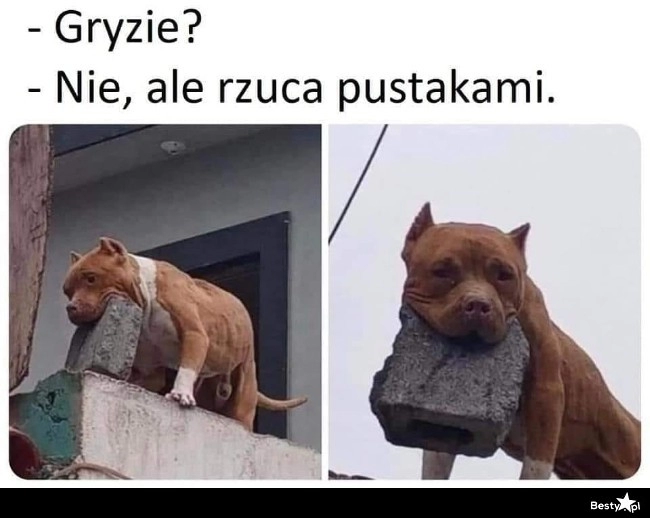 
    Jeszcze gorzej 