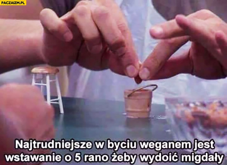 
    Najtrudniejsze w byciu weganem jest wstawanie o 5 rano żeby wydoić migdały