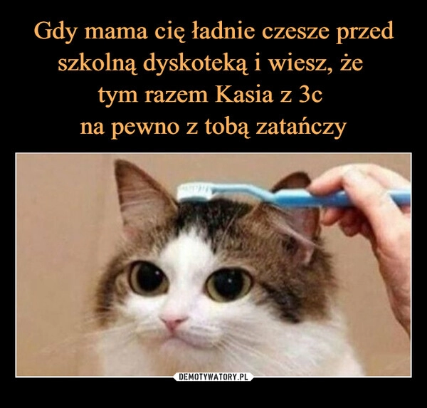 
    Gdy mama cię ładnie czesze przed szkolną dyskoteką i wiesz, że 
tym razem Kasia z 3c 
na pewno z tobą zatańczy