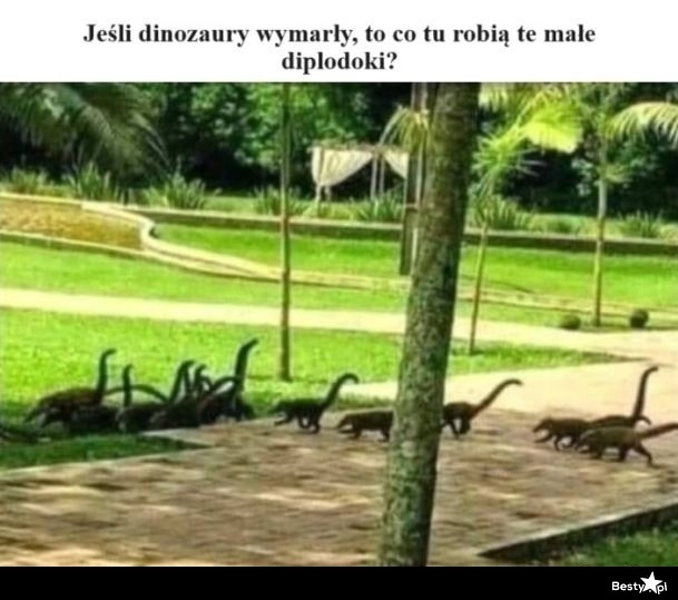 
    Dinozaury 