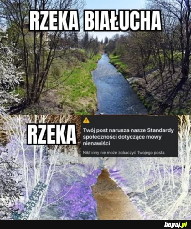 
    I cyk ban leci