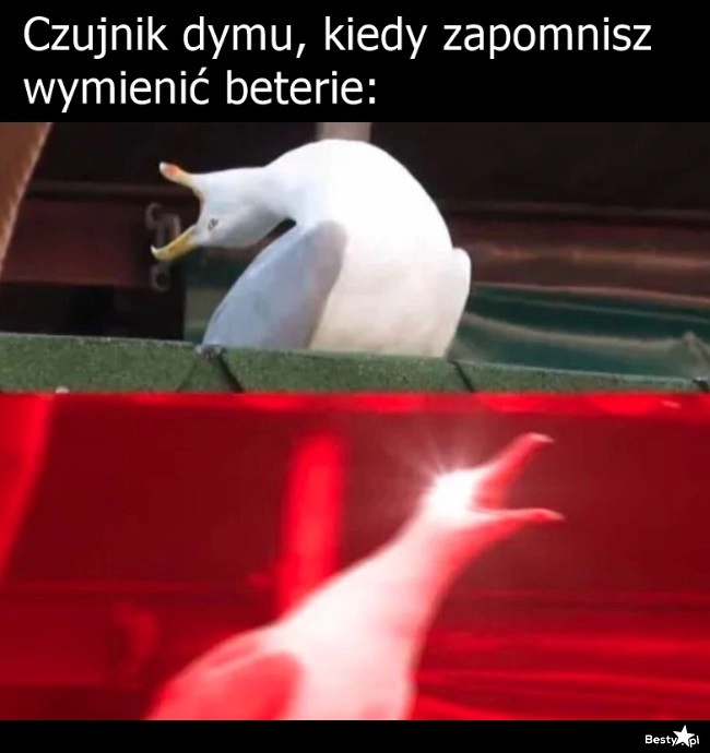 
    Czujnik dymu 