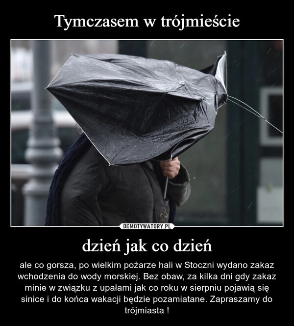 
    Tymczasem w trójmieście dzień jak co dzień