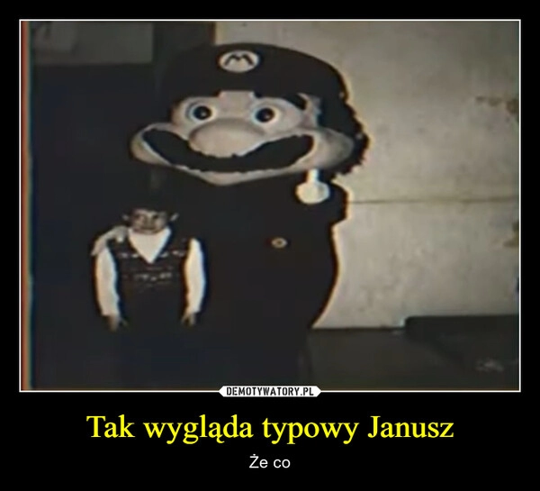 
    Tak wygląda typowy Janusz