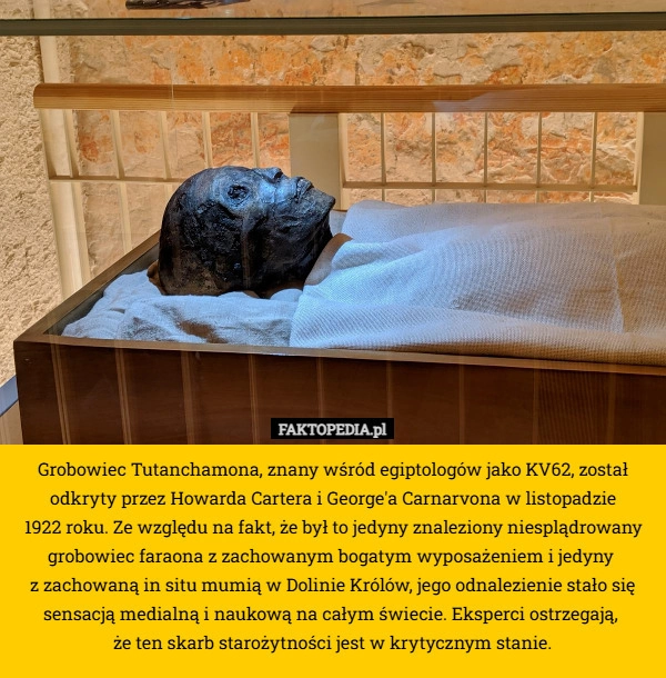 
    Grobowiec Tutanchamona, znany wśród egiptologów jako KV62, został odkryty