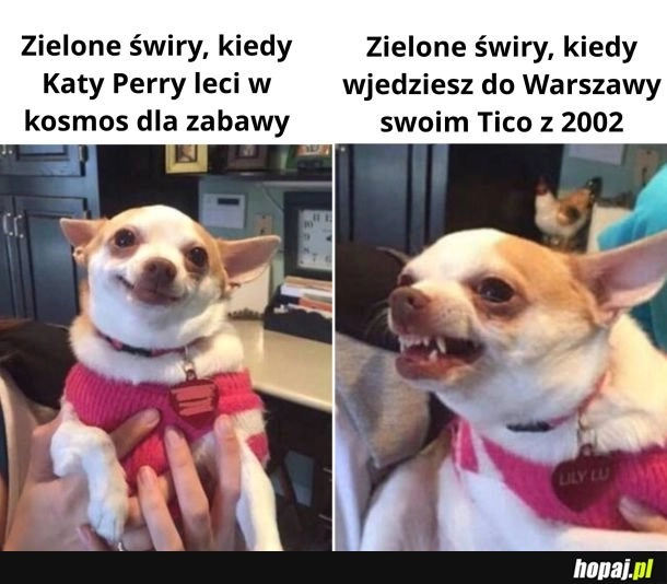 
    Szkoda słów