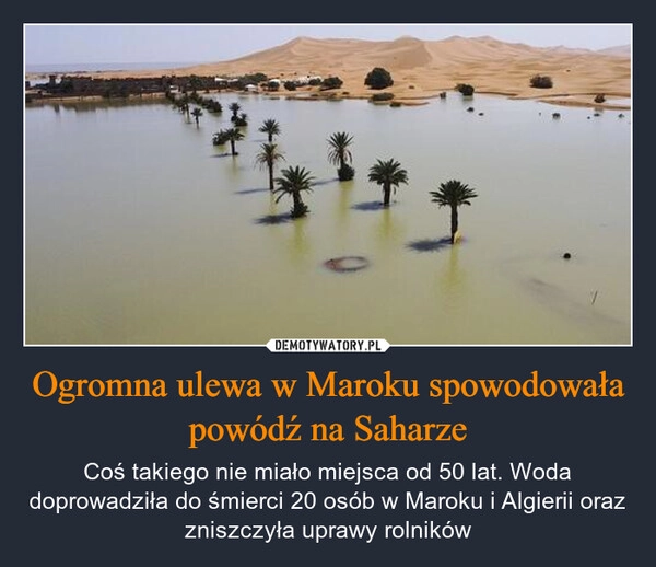 
    Ogromna ulewa w Maroku spowodowała powódź na Saharze