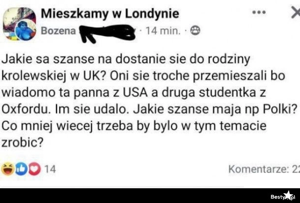 
    Dostać się do rodziny królewskiej 