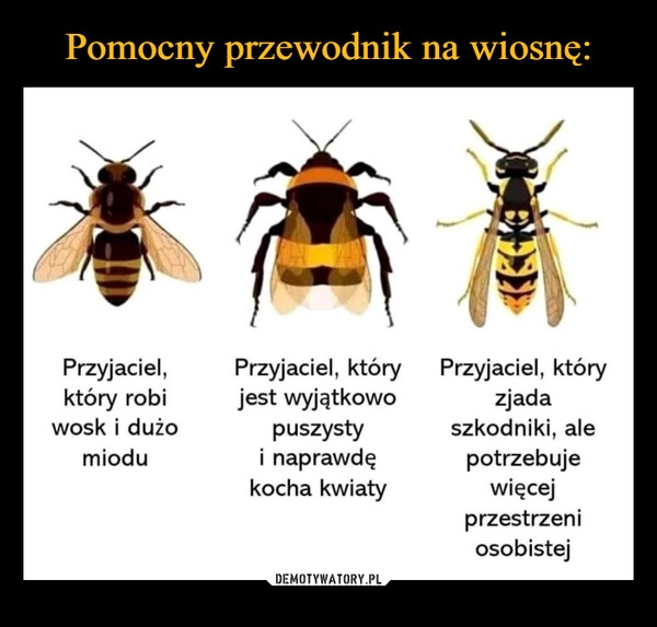 
    Pomocny przewodnik na wiosnę: