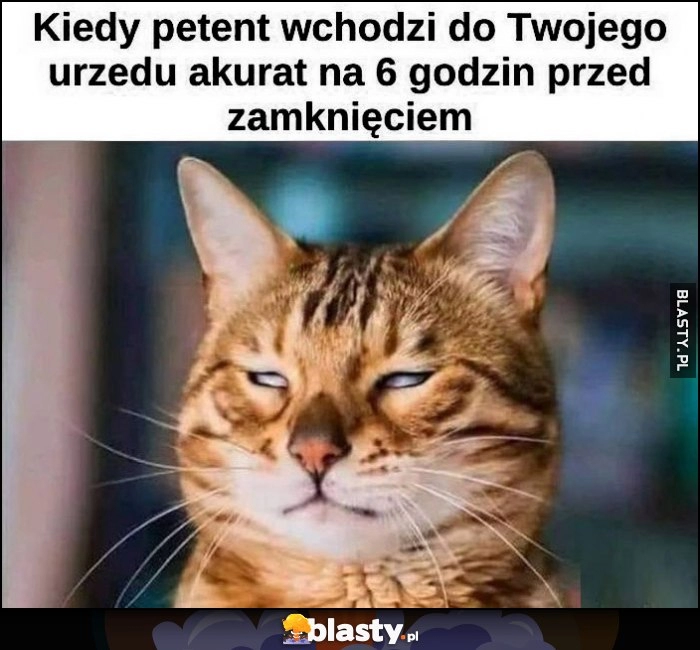 
    Kiedy petent wchodzi do Twojego ,urzędu akurat na 6 godzin przed zamknięciem