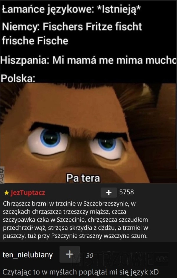 
    
			Łamańce językowe					