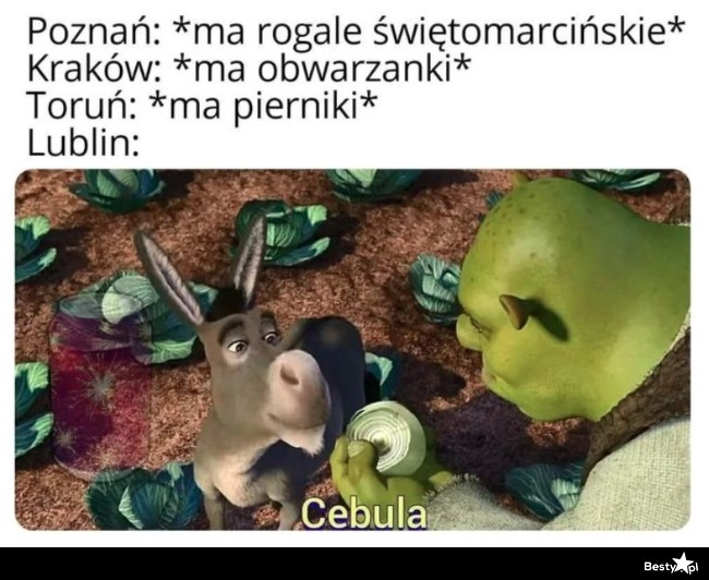 
    Lubelskie cebularze 