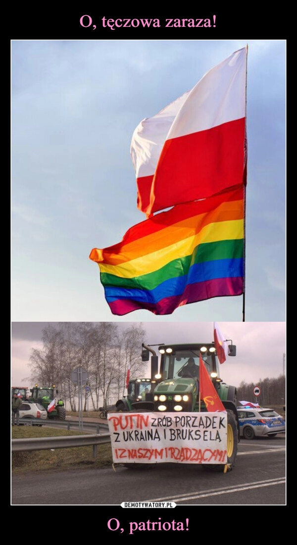 
    O, tęczowa zaraza! O, patriota!