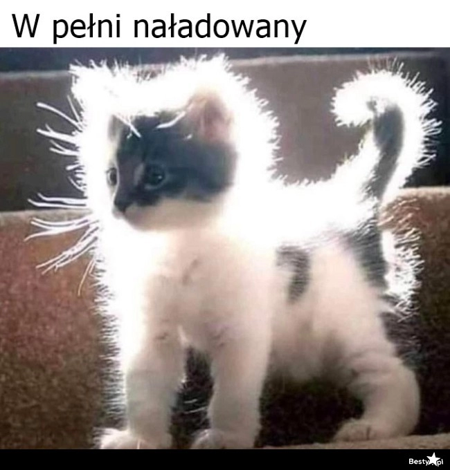 
    W pełni naładowany 