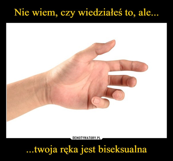 
    Nie wiem, czy wiedziałeś to, ale... ...twoja ręka jest biseksualna