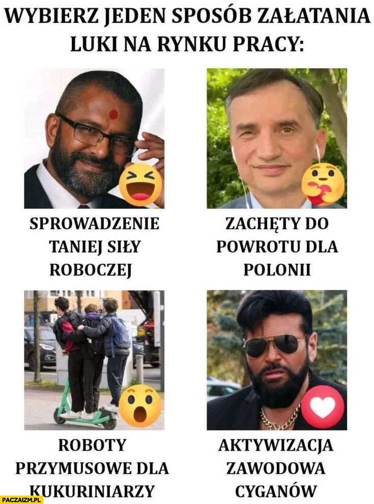 Wybierz jeden sposób załatwienia luki na rynku pracy: Braun hindusi, Ziobro zachęty do powrotu dla polonii, roboty przymusowe dla kukuriniarzy, Rutkowski aktywizacja zawodowa cyganów