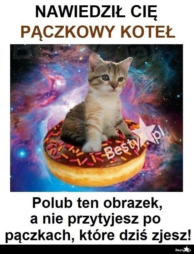 
    Pączkowy koteł 