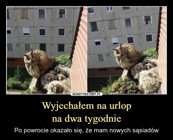 
    Wyjechałem na urlop
na dwa tygodnie