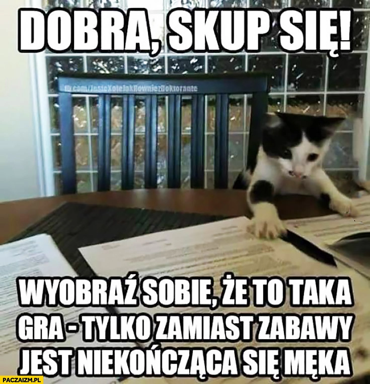 
    Kot dobra skup się, wyobraź sobie, że to taka gra tylko zamiast zabawy jest niekończąca się męka kotek