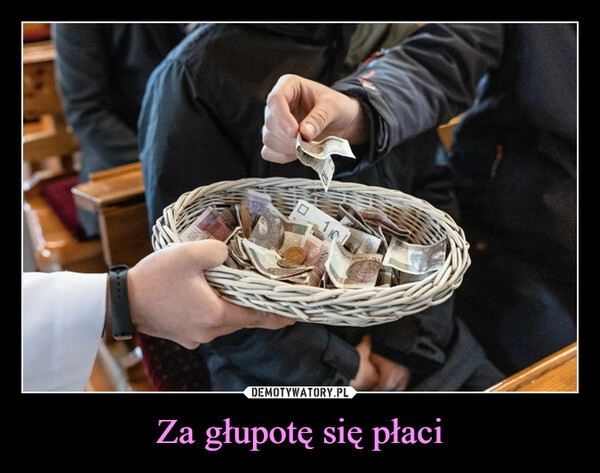 
    Za głupotę się płaci