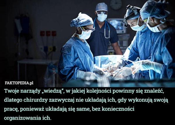 
    Twoje narządy „wiedzą”, w jakiej kolejności powinny się znaleźć, dlatego