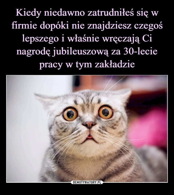 
    Kiedy niedawno zatrudniłeś się w firmie dopóki nie znajdziesz czegoś lepszego i właśnie wręczają Ci nagrodę jubileuszową za 30-lecie pracy w tym zakładzie