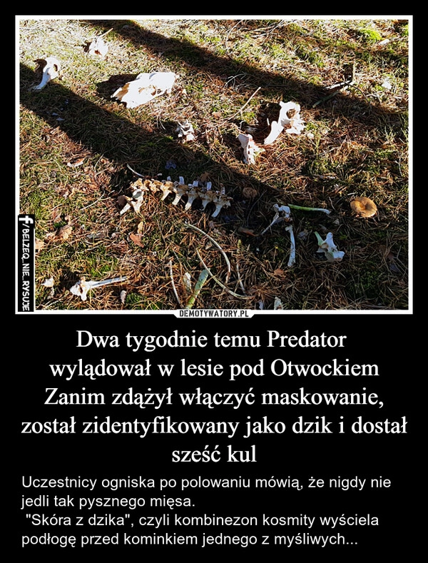 
    Dwa tygodnie temu Predator 
wylądował w lesie pod Otwockiem
Zanim zdążył włączyć maskowanie, został zidentyfikowany jako dzik i dostał sześć kul