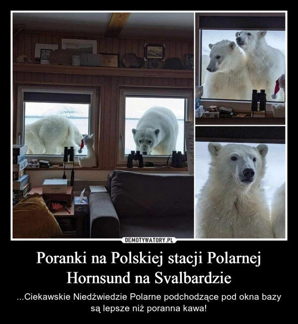 
    Poranki na Polskiej stacji Polarnej Hornsund na Svalbardzie