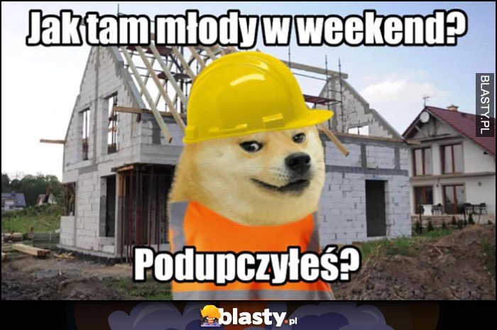 
    Budowlaniec: jak tam młody w weekend podupczyłeś? Pies pieseł doge