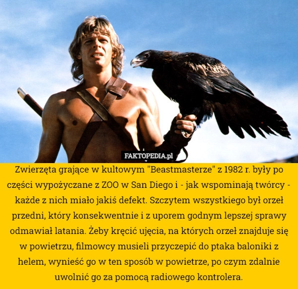 
    
			Zwierzęta grające w kultowym "Beastmasterze" z 1982 r. były wypożyczane					