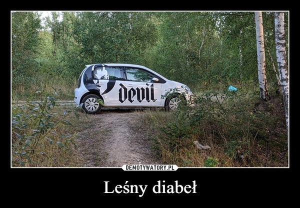 
    Leśny diabeł