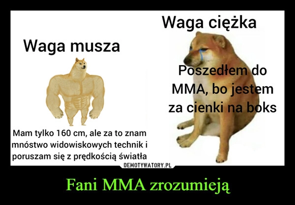 
    Fani MMA zrozumieją