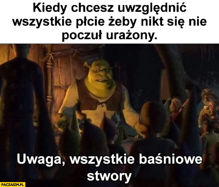 
    Shrek kiedy chcesz uwzględnić wszystkie płcie żeby nikt nie poczuł się urażony uwaga wszystkie baśniowe stwory