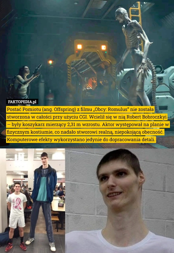 Postać Pomiotu (ang. Offspring) z filmu „Obcy: Romulus” nie została stworzona