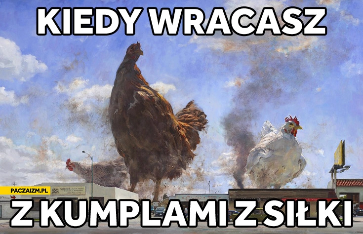 
    Kiedy wracasz z kumplami z siłki koguty