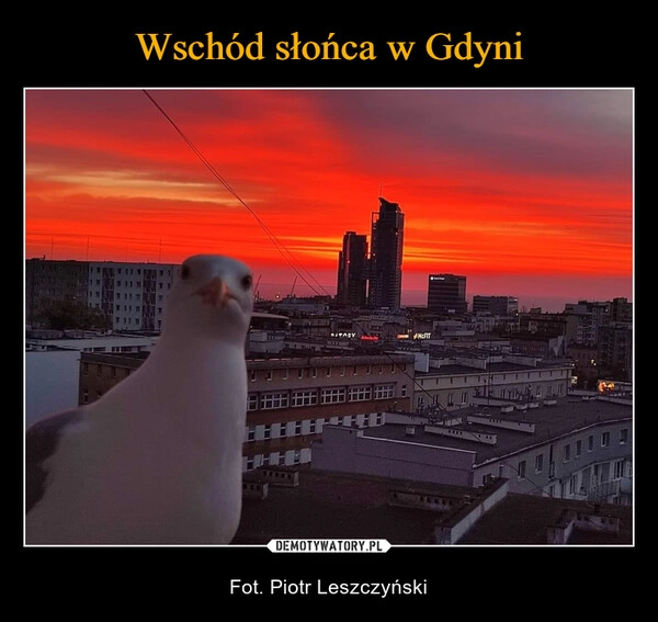 
    Wschód słońca w Gdyni