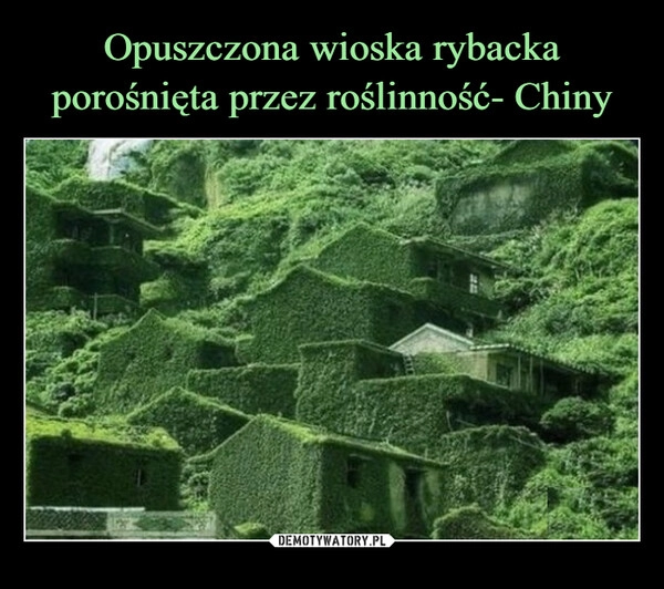 
    Opuszczona wioska rybacka porośnięta przez roślinność- Chiny