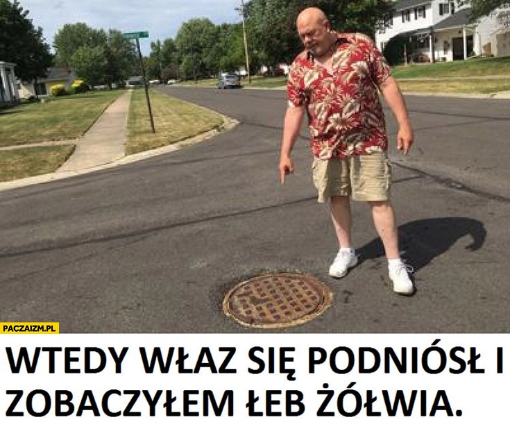 
    Wtedy właz się podniósł i zobaczyłem łeb żółwia pokazuje na studzienkę kanalizacyjną