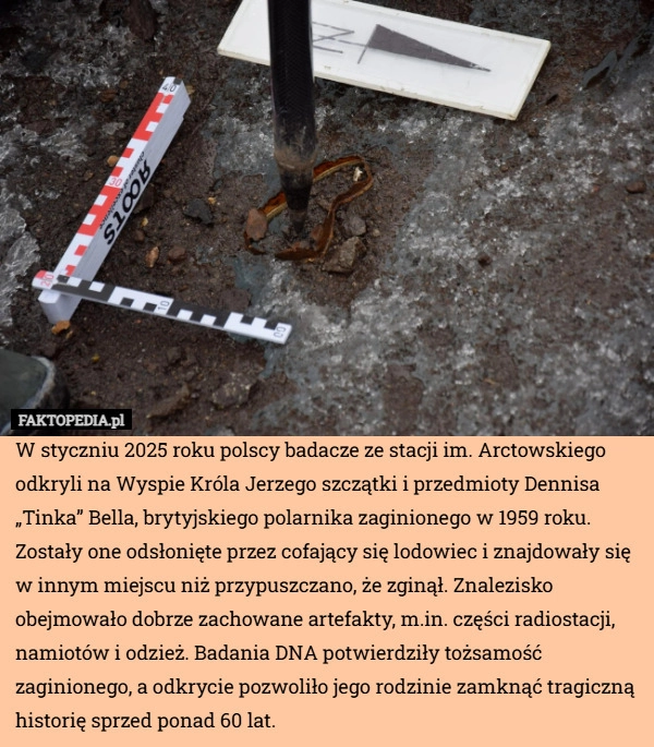 
    W styczniu 2025 roku polscy badacze ze stacji im. Arctowskiego odkryli na
