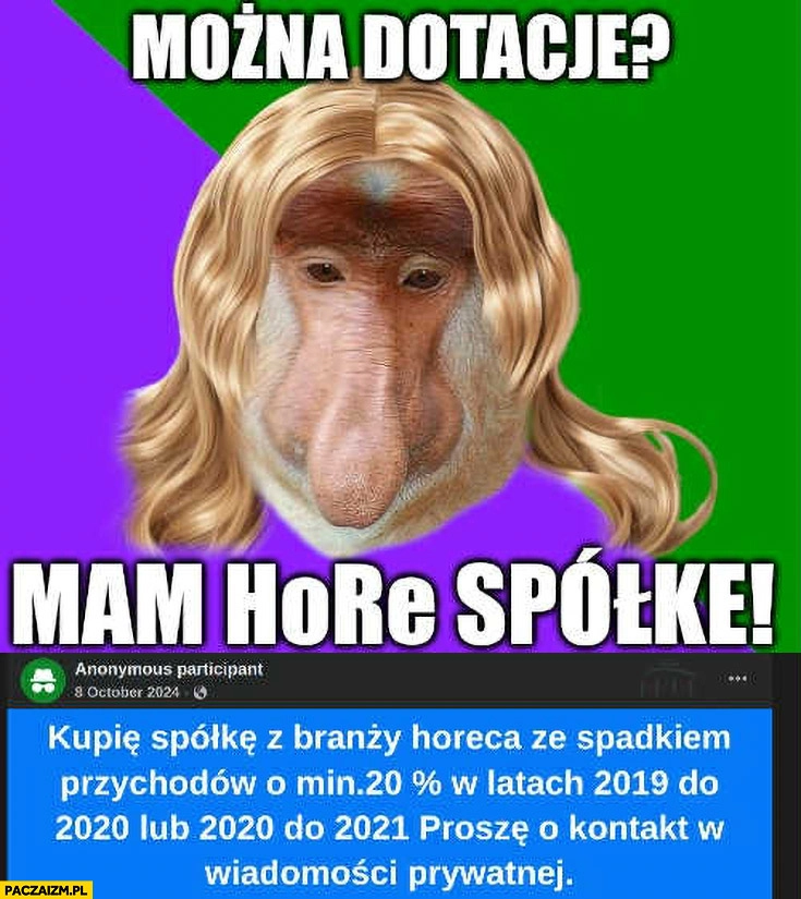 
    Można dotację? Mam HoRe spółkę kupie spółkę horeca ze spadkiem przychodów nosacz