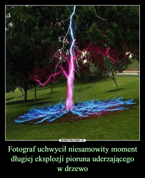 
    Fotograf uchwycił niesamowity moment długiej eksplozji pioruna uderzającego
w drzewo