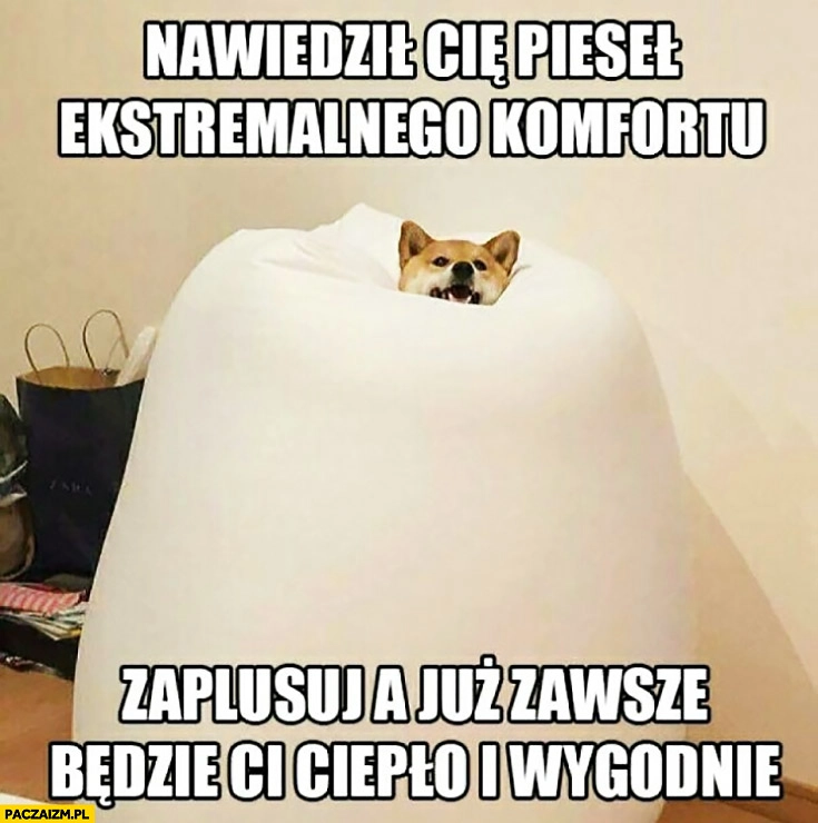 
    Nawiedził Cię pieseł ekstremalnego komfortu, zaplusuj a już zawsze będzie Ci ciepło i wygodnie