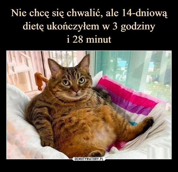 
    Nie chcę się chwalić, ale 14-dniową dietę ukończyłem w 3 godziny
i 28 minut 