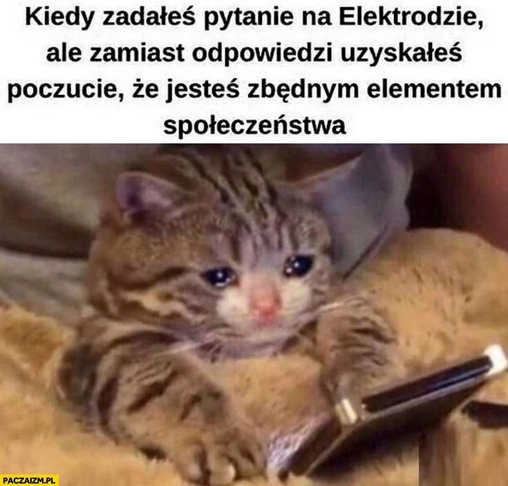 
    Kiedy zadałeś pytanie na elektrodzie ale zamiast odpowiedzi uzyskałeś poczucie, że jesteś zbędnym elementem społeczeństwa smutny kot kotek